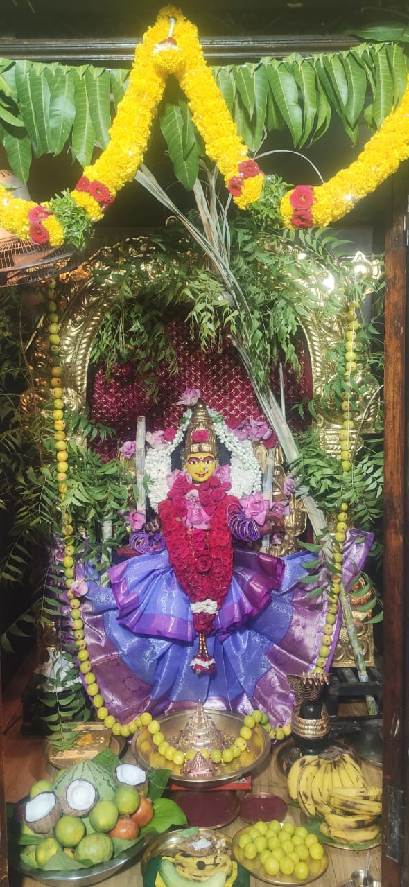 Raja Syamala Devi Vigraham